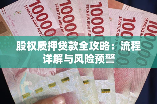 武汉股权质押贷款全攻略：流程详解与风险预警