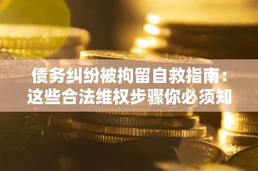 武汉债务纠纷被拘留自救指南：这些合法维权步骤你必须知道！