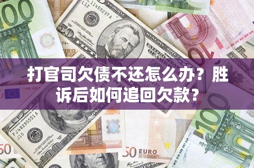 武汉打官司欠债不还怎么办？胜诉后如何追回欠款？