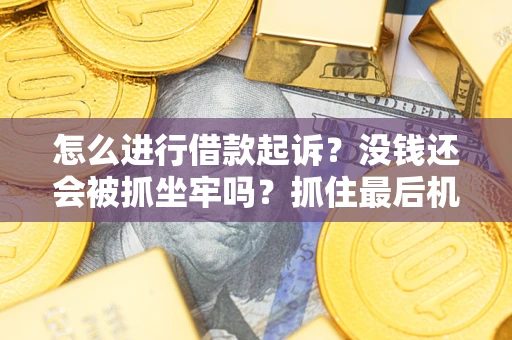 武汉怎么进行借款起诉？没钱还会被抓坐牢吗？抓住最后机会！