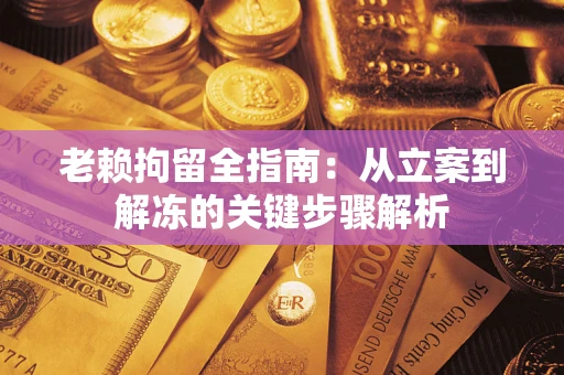 武汉老赖拘留全指南：从立案到解冻的关键步骤解析