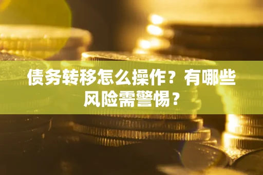 武汉债务转移怎么操作？有哪些风险需警惕？