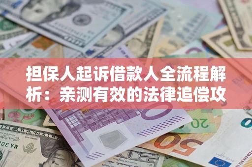 武汉担保人起诉借款人全流程解析：亲测有效的法律追偿攻略
