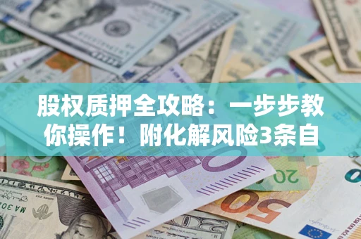 武汉股权质押全攻略：一步步教你操作！附化解风险3条自救法则
