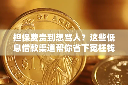 武汉担保费贵到想骂人？这些低息借款渠道帮你省下冤枉钱