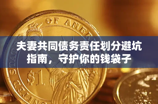武汉夫妻共同债务责任划分避坑指南，守护你的钱袋子