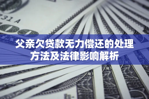 武汉父亲欠贷款无力偿还的处理方法及法律影响解析