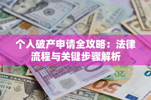 武汉个人破产申请全攻略：法律流程与关键步骤解析