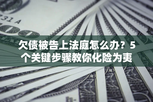 武汉欠债被告上法庭怎么办？5个关键步骤教你化险为夷